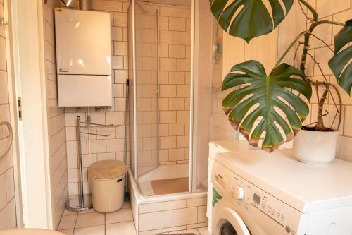 Apartamento Ferienwohnung Mit S�dterrasse