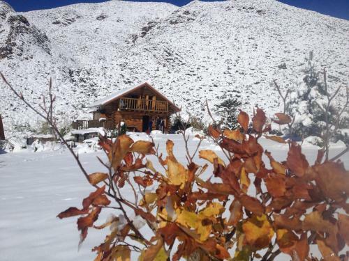 Lodge La Araucaria