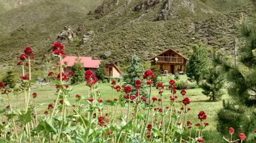 Lodge La Araucaria