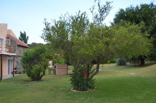 Apartamento Caba�as Rincon Verde