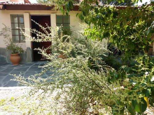 Lodge Buenavista Caba�as