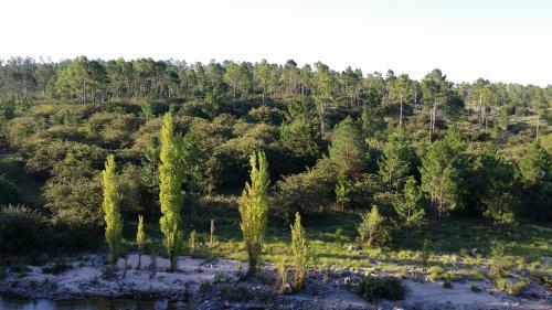 Lodge Buenavista Caba�as