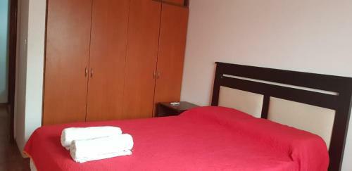 Apartamento Departamentos Amueblados Neuquen