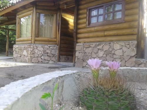 Hotel Y Caba�as Green Park