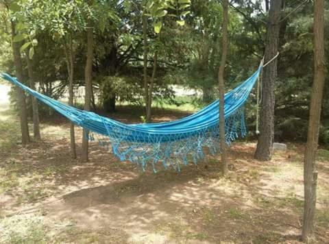 Hotel Y Caba�as Green Park