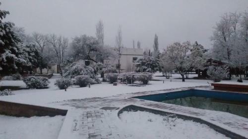 Hotel Y Caba�as Green Park