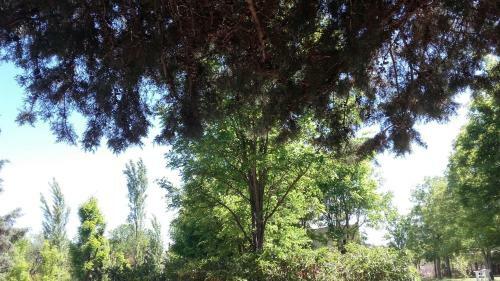 Hotel Y Caba�as Green Park
