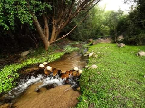 El Huaico Posada Spa