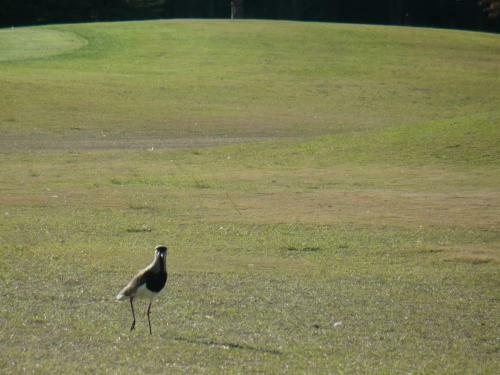 Apartamento Complejo Frente Al Golf