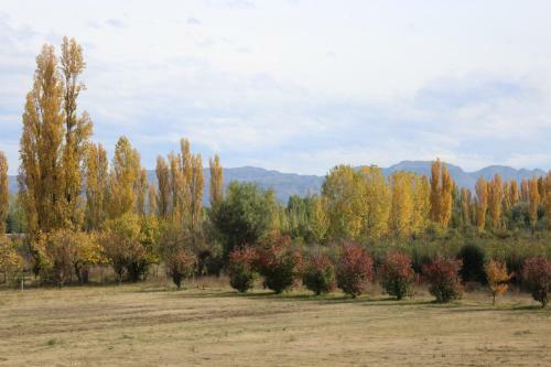 Lodge Aldea Amedo