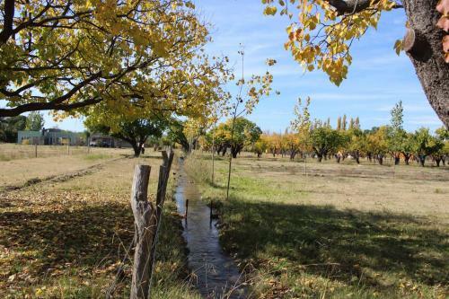 Lodge Aldea Amedo