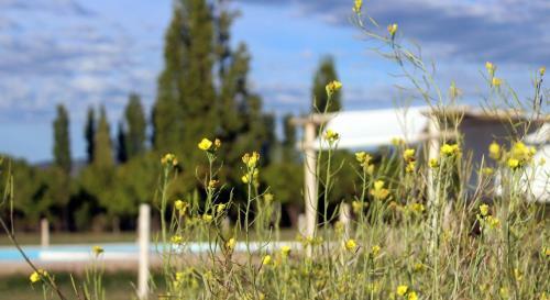 Lodge Aldea Amedo