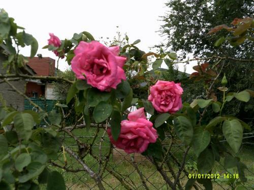 Apartamento Las 4 Estrellas Rojas