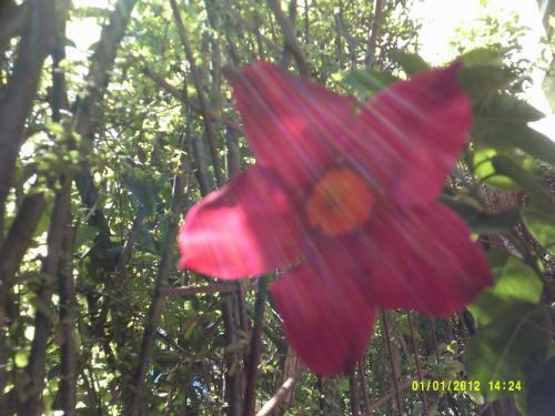 Apartamento Las 4 Estrellas Rojas