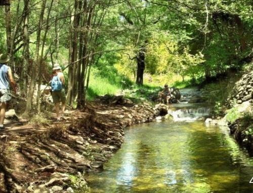 Lodge Posada Del Halc�n - Caba�as Y Suites