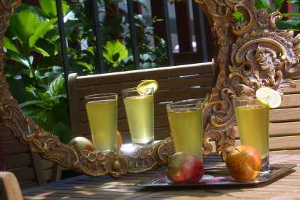 Hotel Villa Catarie