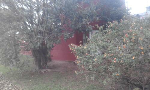La Casa De Los Pinos