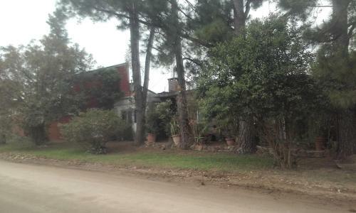 La Casa De Los Pinos