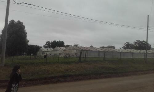 La Casa De Los Pinos