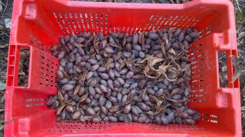 Finca El Encuentro