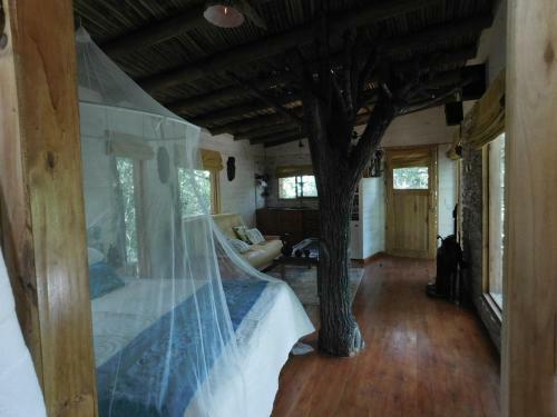 Apartamento La Casa Del Arbol