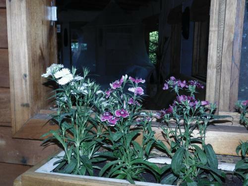 Apartamento La Casa Del Arbol