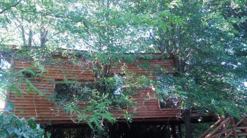 Apartamento La Casa Del Arbol