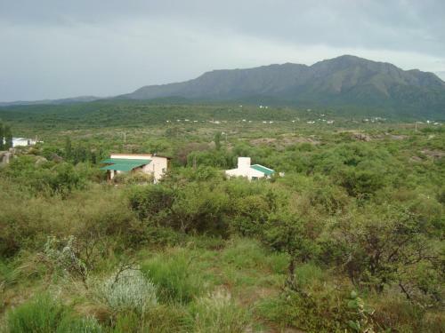 Monte Adentro