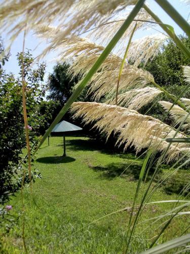 Apartamento Bungalows Curup�