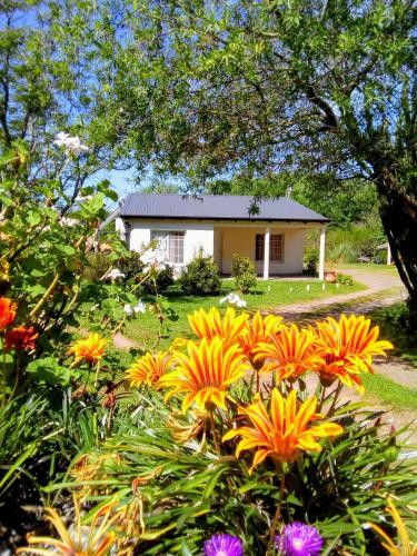 Apartamento Bungalows Curup�