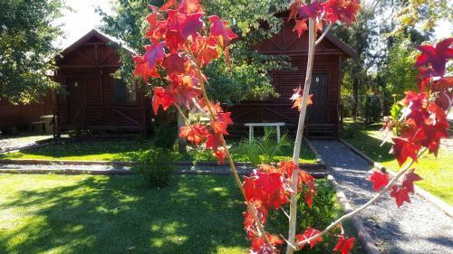 Lodge Caba�as Pulmahue