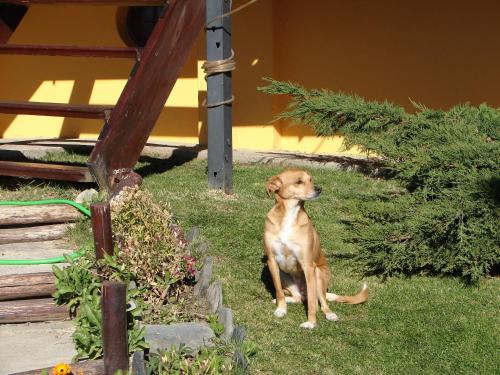 Apartamento Caba�as Marias Del Sur