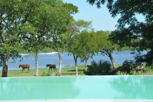 Lodge Agua�