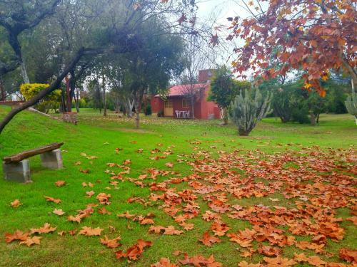 Caba�as Altos Del Velazco