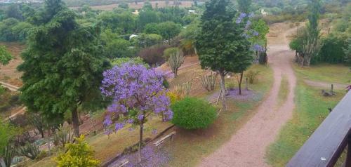 Caba�as Altos Del Velazco
