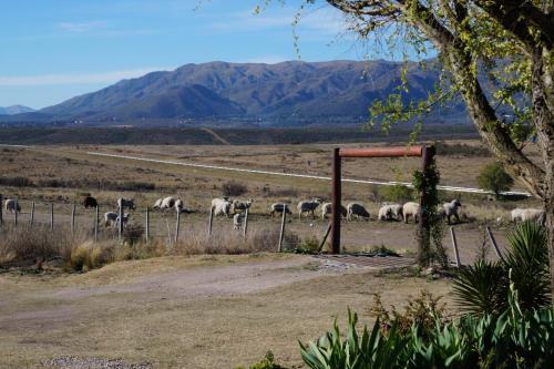 Agroturismo Los Cha�aritos