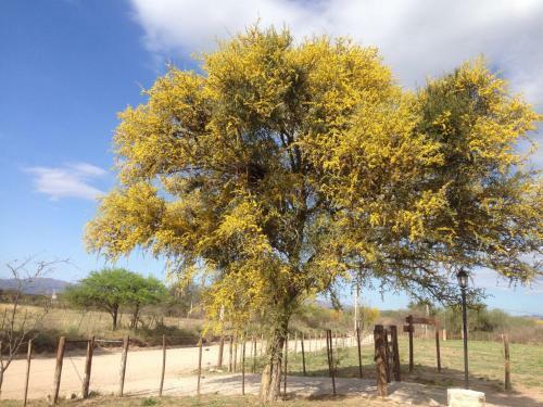 Agroturismo Caba�as Los Algarrobos