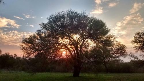 Agroturismo Caba�as Los Algarrobos