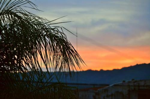 Bed & Breakfast Casa Flores