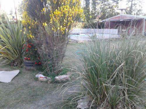 Apartamento Amanecer En Cuyo