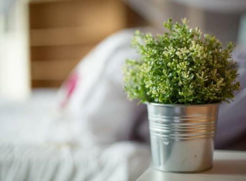 Apartamentos The Hunting Lodge Accommodation