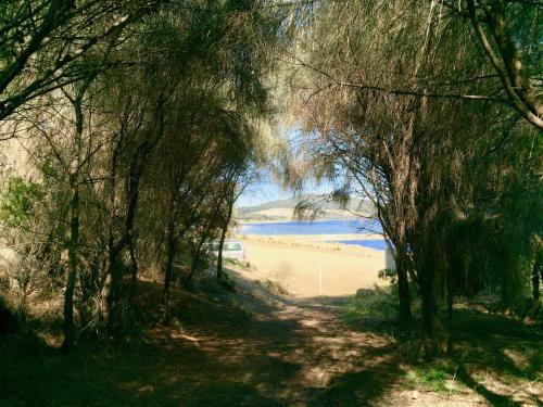 Manfield Seaside
