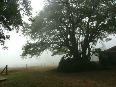 Agroturismo Hillview Cottages