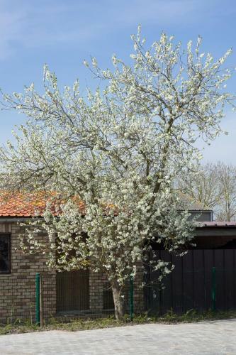 Holiday Home De Maalderij