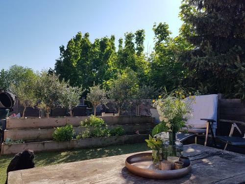 Bed & Breakfast Maison Sophie