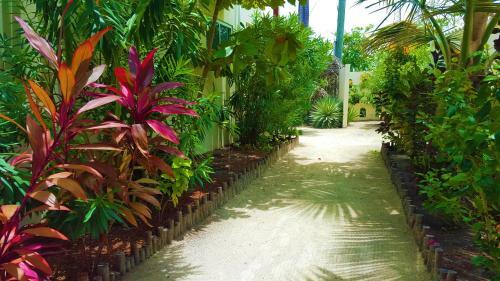 Hotel Tres Cocos Resort