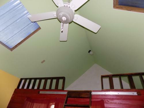 Belmopan Tiny Houses