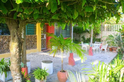 Hotel Maya