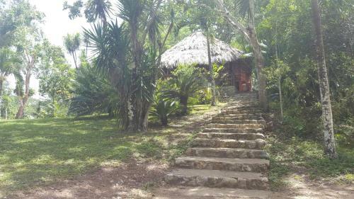Hotel Clarissa Falls Resort