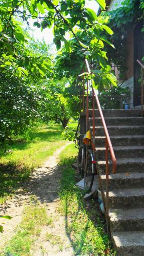 Hostal Guest House Raisa